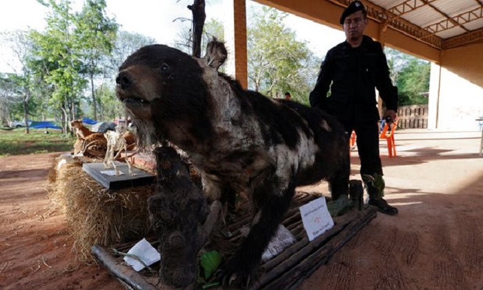 Thai police charge 22 with wildlife trafficking from tiger temple